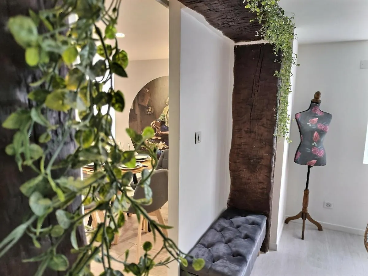 Appartement • La Fermiere • Parking Gratuit • Clim • Netflix à Albi